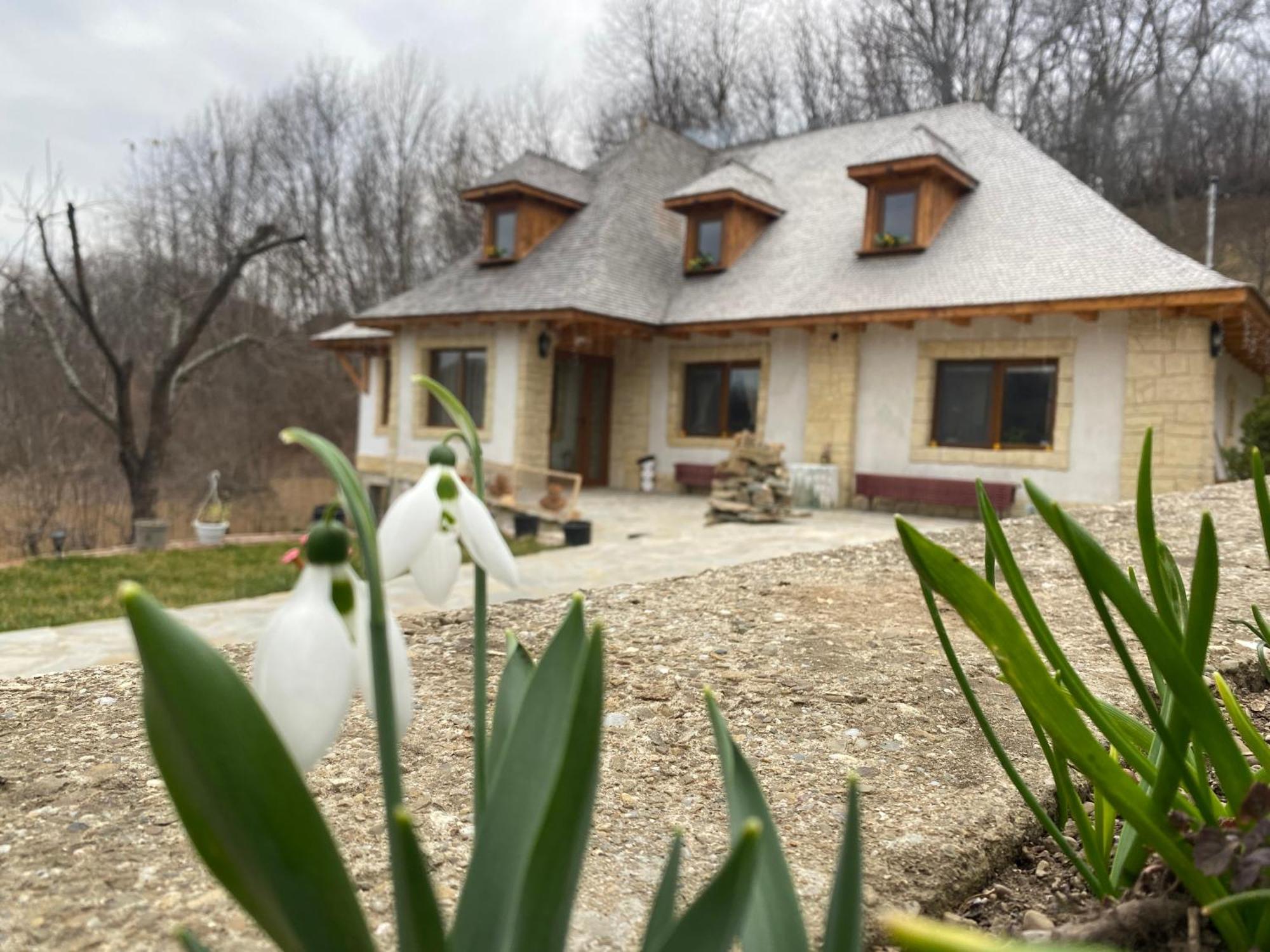 Casa Cu Sindrila Villa Vălenii de Munte Eksteriør billede