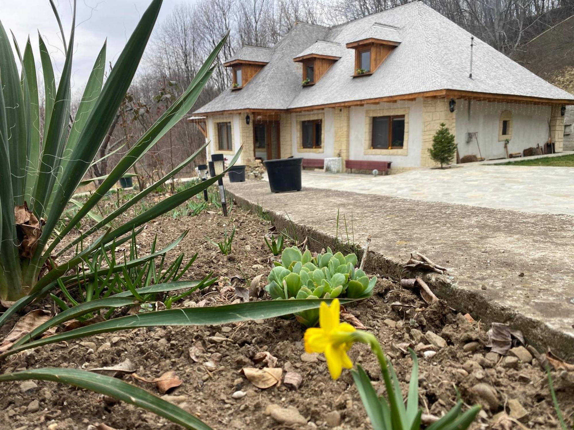 Casa Cu Sindrila Villa Vălenii de Munte Eksteriør billede