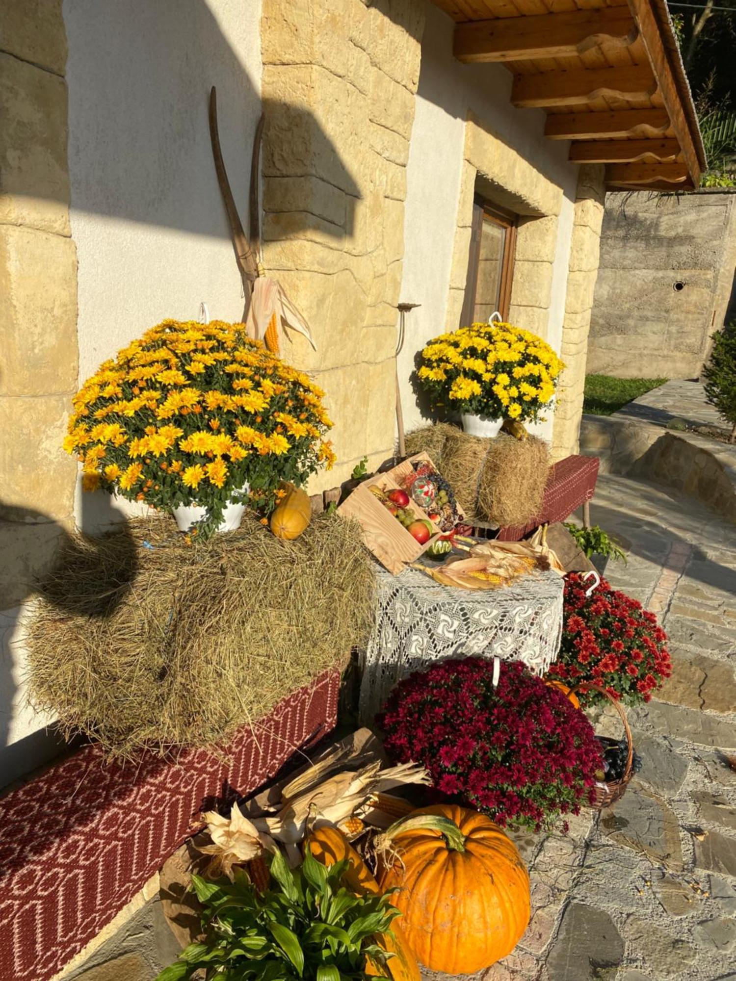Casa Cu Sindrila Villa Vălenii de Munte Eksteriør billede